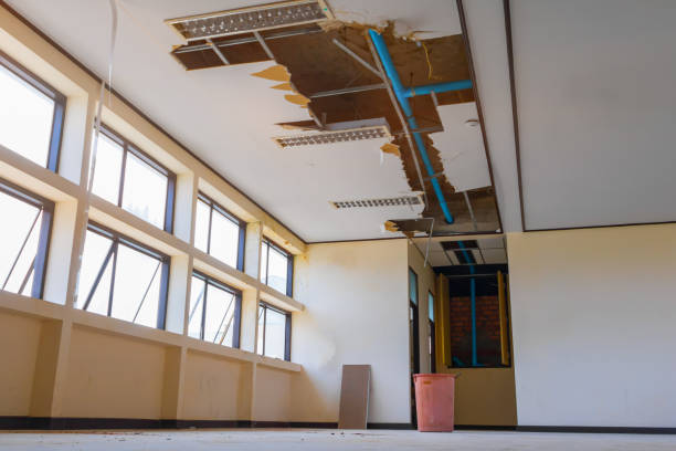Best Ceiling water damage repair  in Montevlo, AL