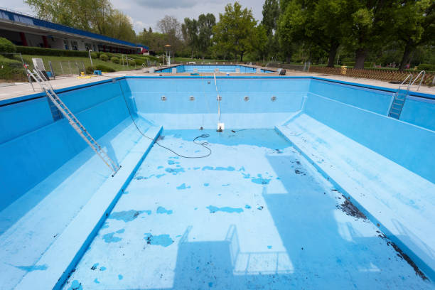Best Local water damage restoration  in Montevlo, AL