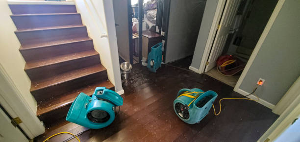 Best Flood restoration services  in Montevlo, AL