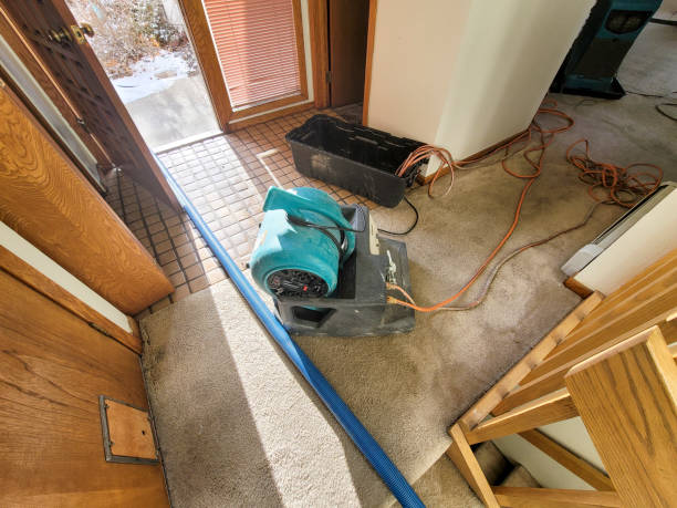 Best 24-hour water damage restoration  in Montevlo, AL