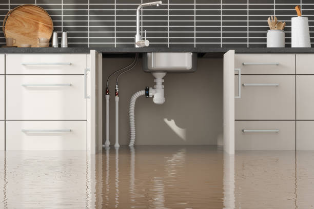 Best 24/7 water damage repair  in Montevlo, AL