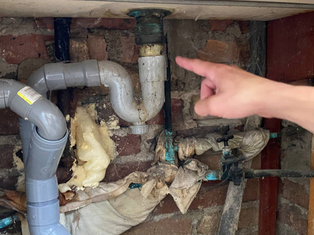 Best Sewage cleanup and water damage restoration  in Montevlo, AL