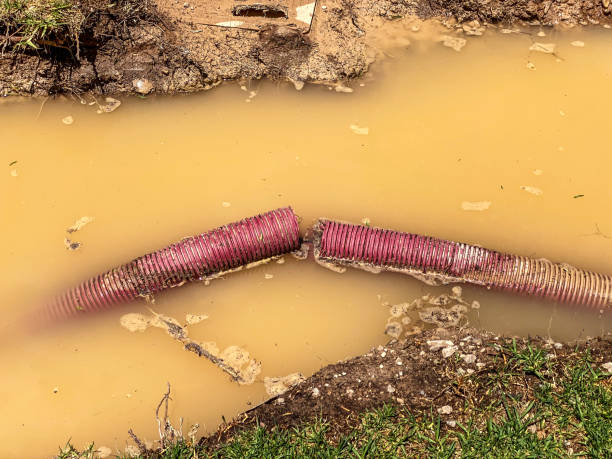 Water damage restoration mold remediation in Montevallo, AL