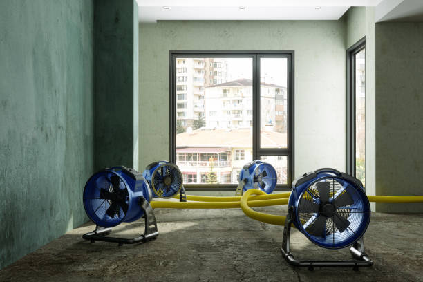 Best Mold removal after water damage  in Montevlo, AL